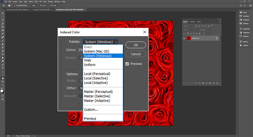 Adobe Photoshop's Index Color Settings